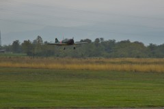 DSC_6518