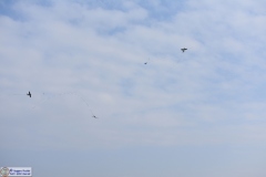 1_Cmb-190317-017