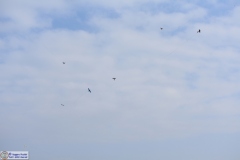 1_Cmb-190317-018
