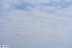 1_Cmb-190317-019