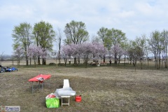 1_Cmb-190317-021