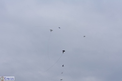 Cmb-190317-029